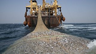 First global illegal fishing treaty in force