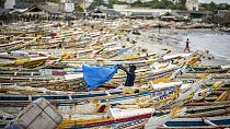 Maladie des pêcheurs : les analyses se poursuivent 