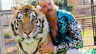 US justice seizes dozens of big cats from Netflix ‘Tiger King’ couple