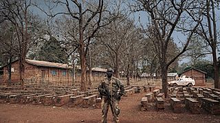 Centrafrique : 14 morts dans des violences entre éleveurs et cultivateurs