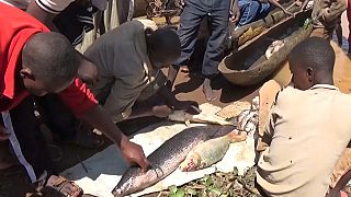Burundi: Protection of Northern Lakes already  bearing fruit 