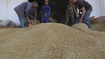 Quelle réponse à la récurrence des crises alimentaires ? [Interview]