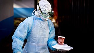 Equatorial Guinea: 12 deaths from Marburg virus according to a new report