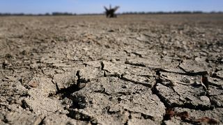 2022: Reflecting on a year of extreme weather ahead of COP27