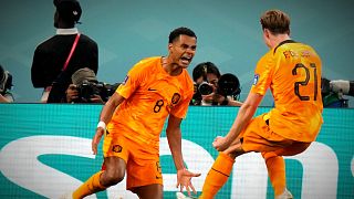 Mondial 2022 : Gakpo, l'oiseau de proie