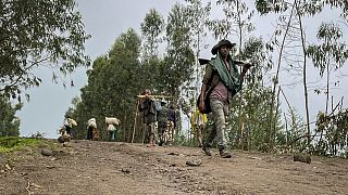 Ethiopia rejects allegations its forces massacred civilians as the West urges an investigation
