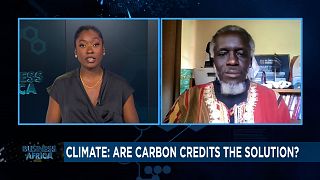Climate: Are carbon credits the solution? [Business Africa]