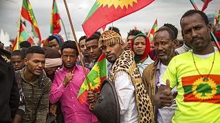 Ethiopia: new government-OLA talks end without agreement, armed Oromo group