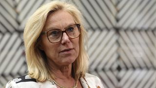 UN appoints a former Dutch deputy PM as its Gaza humanitarian coordinator