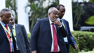 IGAD: Djibouti's president calls for bold leadership