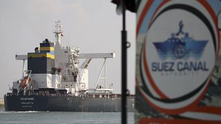 Egypt: Suez Canal revenues plummet as Gaza war hurts shipping