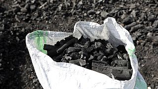 Delegates advocate for universal clean cooking at Energy Conference