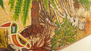 Sister artists celebrate Aboriginal culture and vibrancy of northern Australia