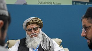 Afghanistan’s delegation attends COP29, seeks international backing for climate action