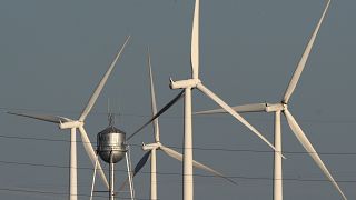 Sainte-Hélène mise sur les énergies renouvelables à long terme