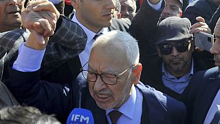 Tunisia jails opposition politicians and journalist as crackdown on political dissent resumes