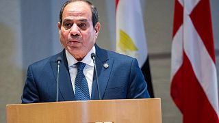 Egypt's President will not attend White House talks if they involve Trump's Gaza plan 