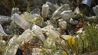 Uganda: the infiltration of plastics into agricultural fields and food raise concern