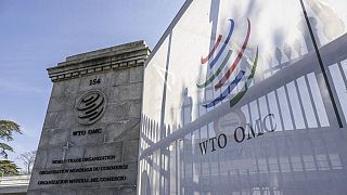Droits de douane : l'OMC prévoit une baisse de 1,5 % du commerce