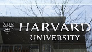 Éthiopie : du Tigré à Harvard, le parcours hors norme de Yonas Niguse