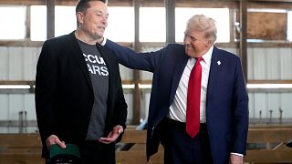 Trump and Musk's public breakup rocks Washington and Wall Street